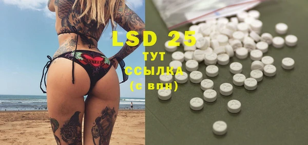 прущие крисы Горняк