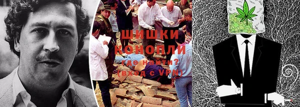 кристаллы Гусь-Хрустальный