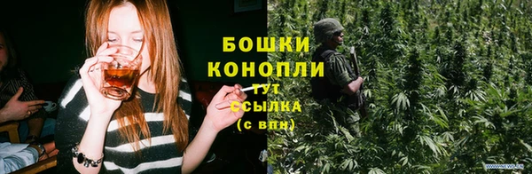 прущие крисы Горняк