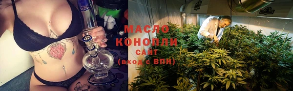 кристаллы Гусь-Хрустальный