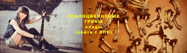 мдма Гусев